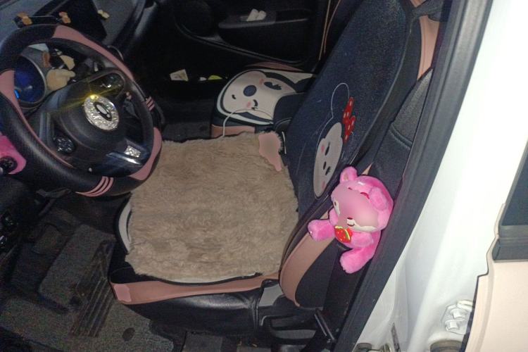 Used ORA Black Cat 2021 301km Cute Pet Edition Left Front Seat