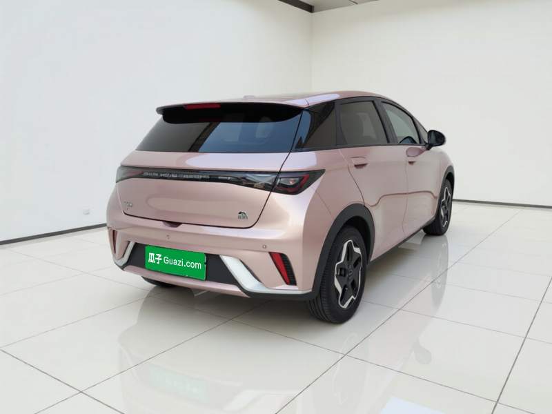 Used BYD Dolphin 2021 405 km Free Version — 4