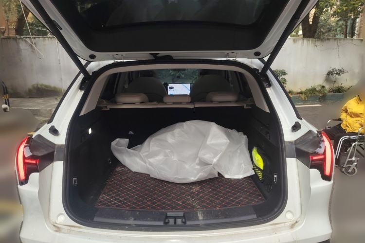 Used NETA L 2024 Extended-Range 310 Flash Charge PRO Edition
