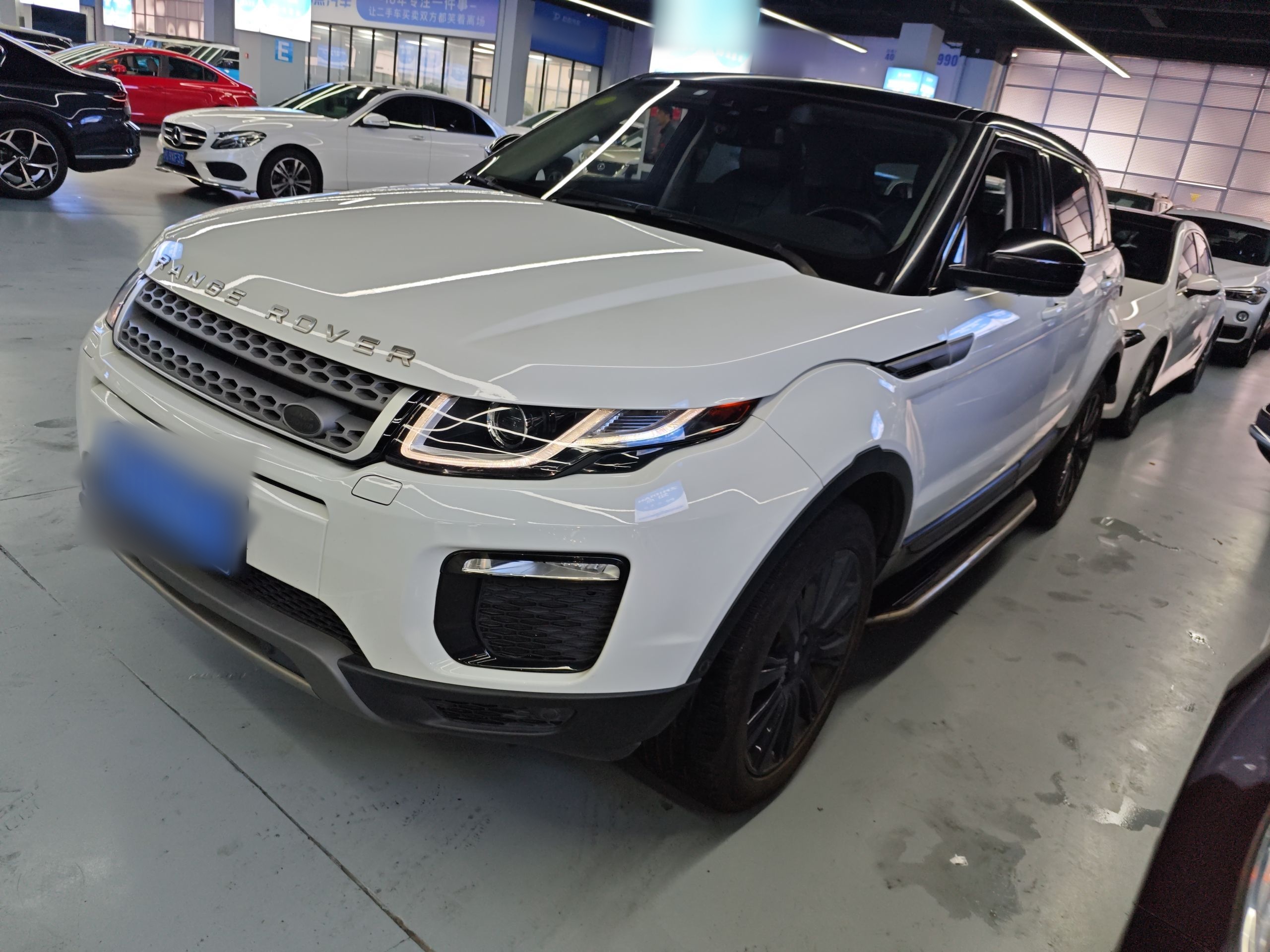 Parte inferior delantera