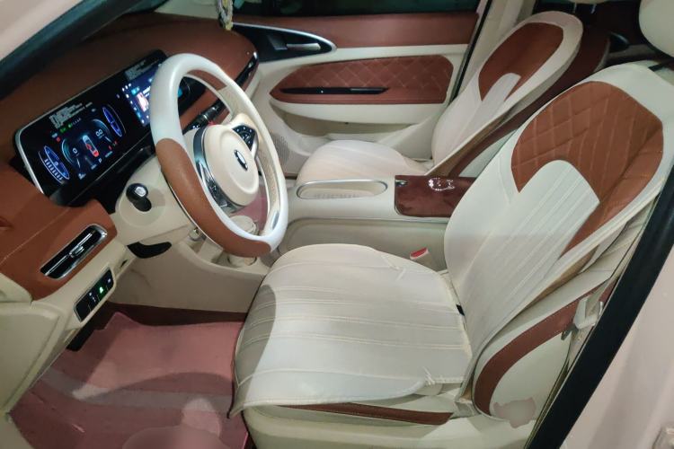 Used ORA Good Cat 2024 401 km Luxury Version Left Front Seat