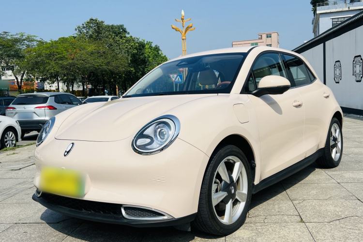 Used ORA Good Cat 2023 401 km Standard Range Luxury Version Ternary Lithium