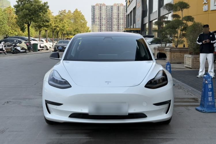 Used Tesla Model 3 2019 Long-Range Rear-Wheel-Drive Version Exterior 7