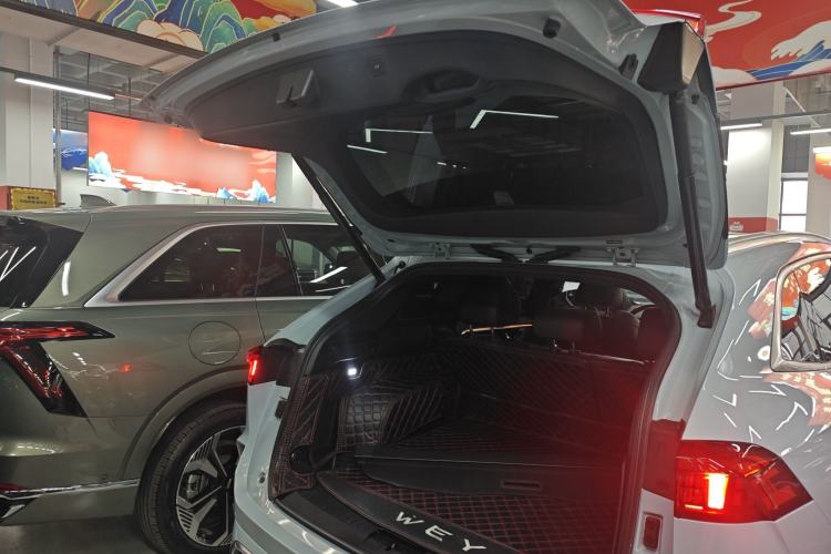 Used Wey Mocha 2021 2.0T Four-Wheel Drive Premium Edition
