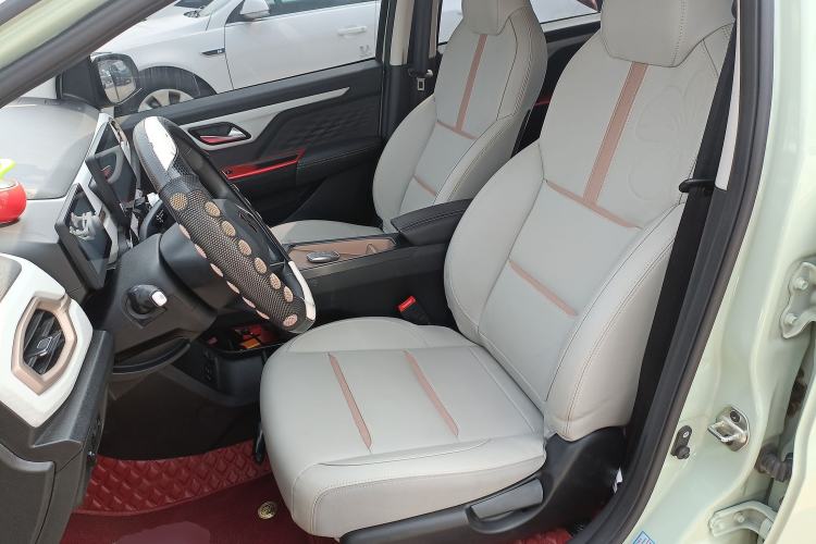 Used SOL E10X 2022 Flower Fairy Design Four-Leaf Clover