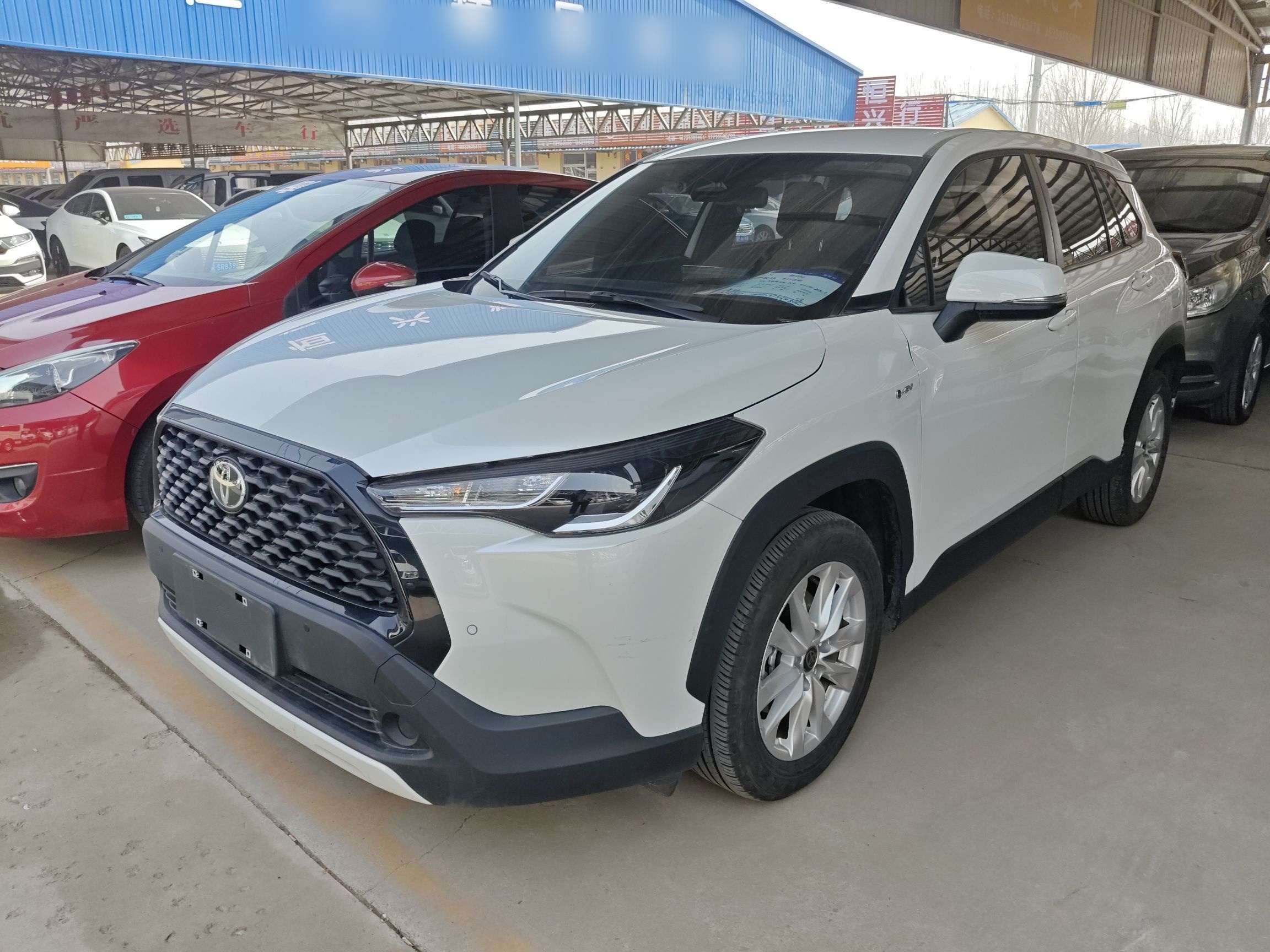 تحت مقدمة السيارة