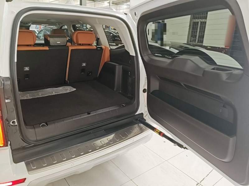 Used Tank 500 2023 3.0T Sport Edition Summit Model 5-Seater — 18