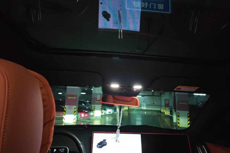 Used Li Auto L6 2024 Max Headliner