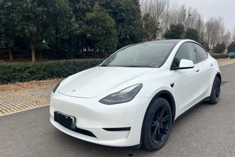 Used Tesla Model Y 2021 Standard Range Rear-Wheel Drive Version