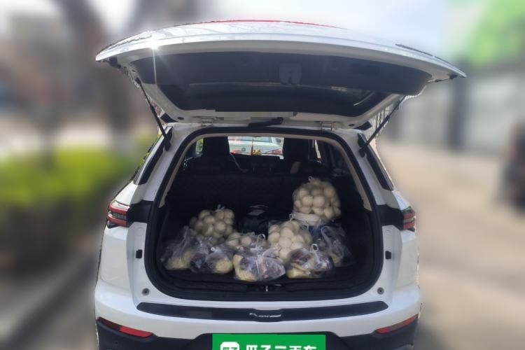 Used CHANGAN CS55PLUS 2021 Blue Whale Edition 1.5T DCT Luxury Model
