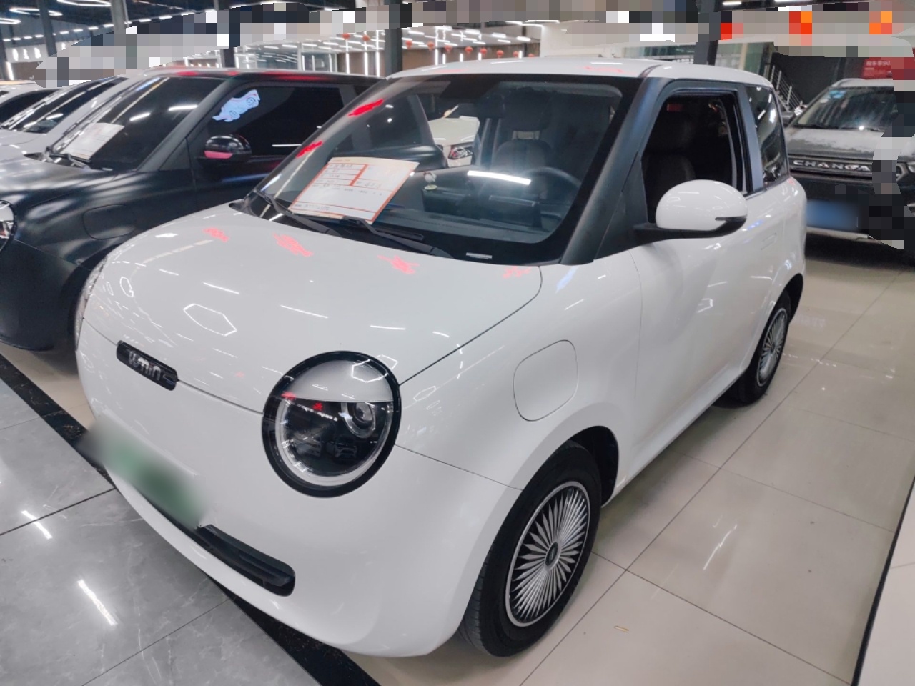 Parte inferior delantera