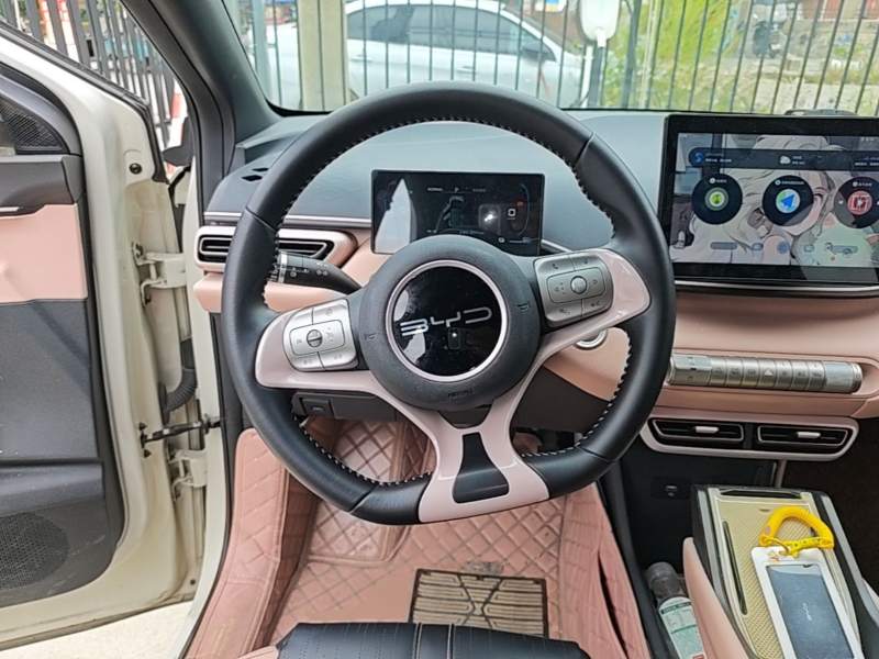 Used BYD Seagull 2023 Free Edition — 10