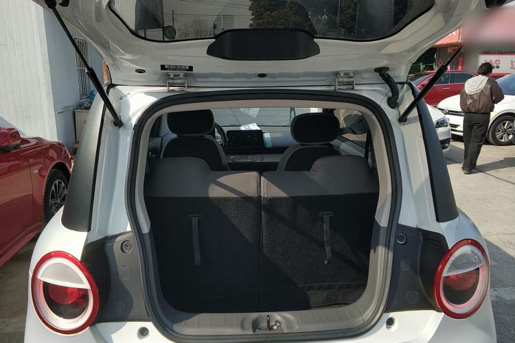 Used Qiyuan Lumin 2023 205km Xiangqin Version