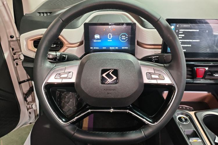 Used SOL E10X 2022 Flower Fairy Style Baby's Breath