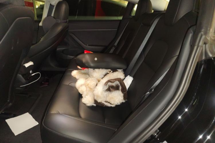 Used Tesla Model 3 2020 Standard Range Rear-Wheel Drive Upgraded Version