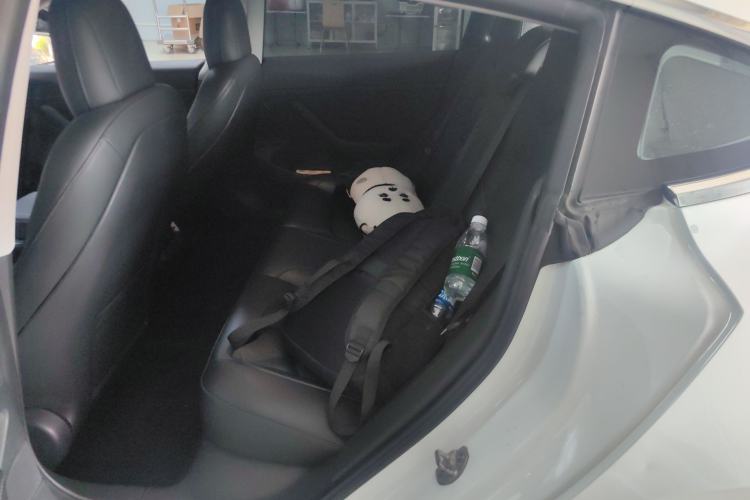 Used Tesla Model 3 2020 Revised Version Standard Range Rear-Wheel Drive – Upgraded Edition Left Rear Seat