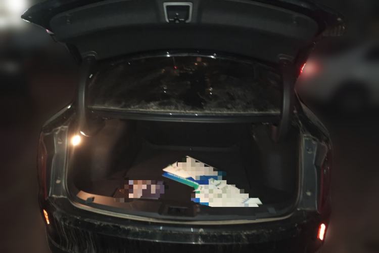 Used Hongqi E-QM5 2023 560km PLUS
