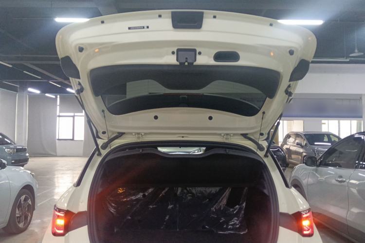 Used BYD Dolphin 2025 Smart Drive Version 420 km Freedom Edition
