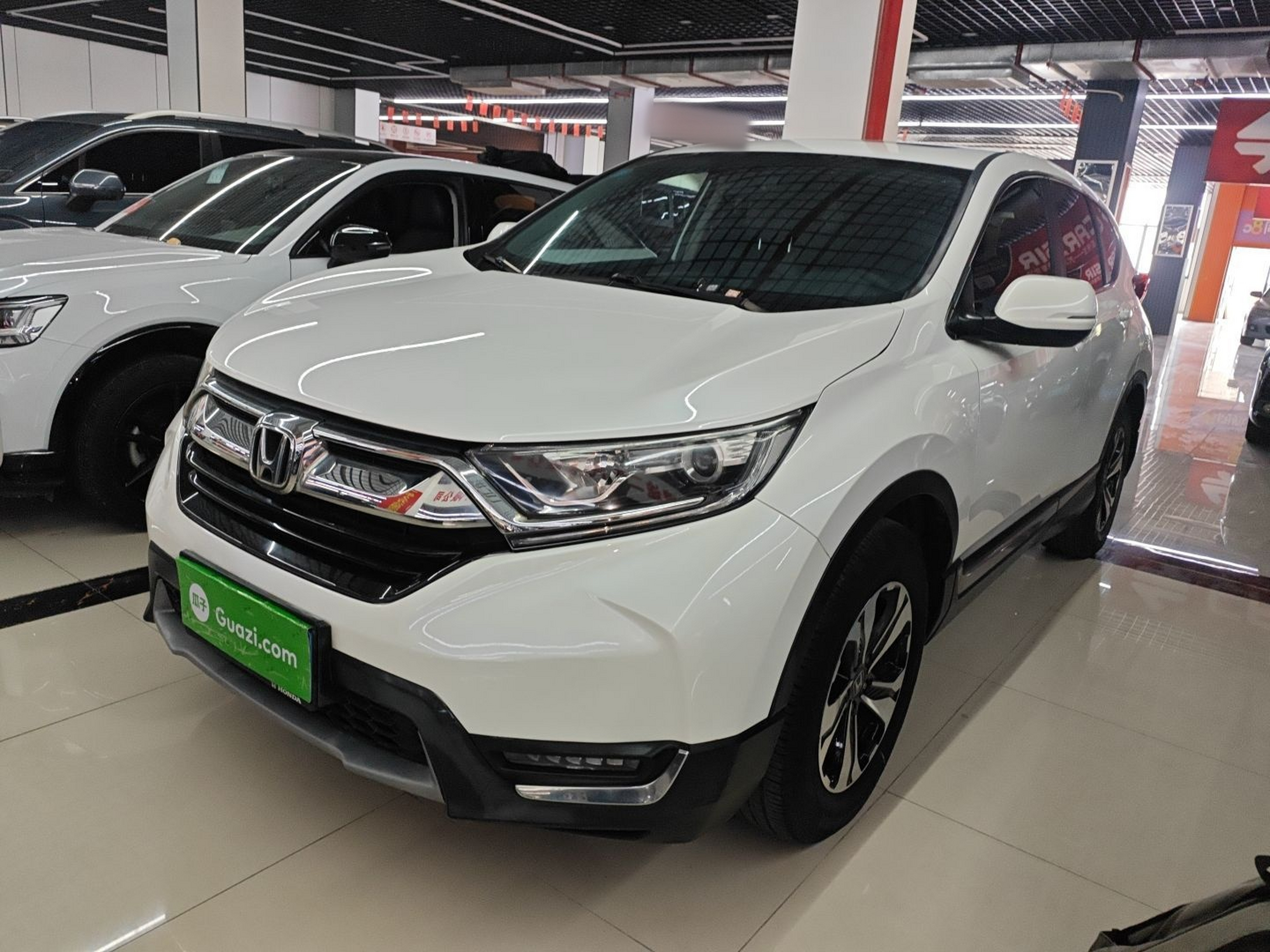 Parte inferior delantera