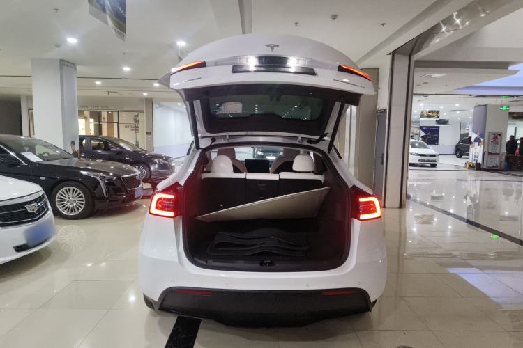 Used Tesla Model Y 2021 Long-Range All-Wheel-Drive Version 3D7
