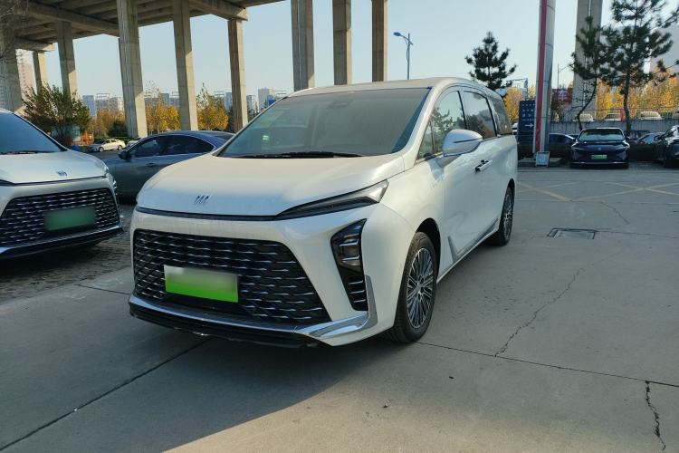 Used Buick GL8 New Energy 2024 Lu Zun Luxury Edition 7-Seater