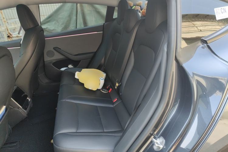 Used Tesla Model 3 2023 Rear-Wheel-Drive Version Left Rear Seat