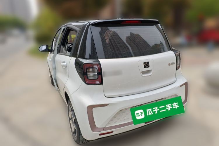 Used SOL E10X 2022 Flower Fairy Design Four-Leaf Clover