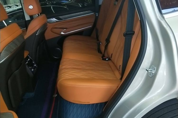 Used Tank 500 New Energy 2024 Hi4-T