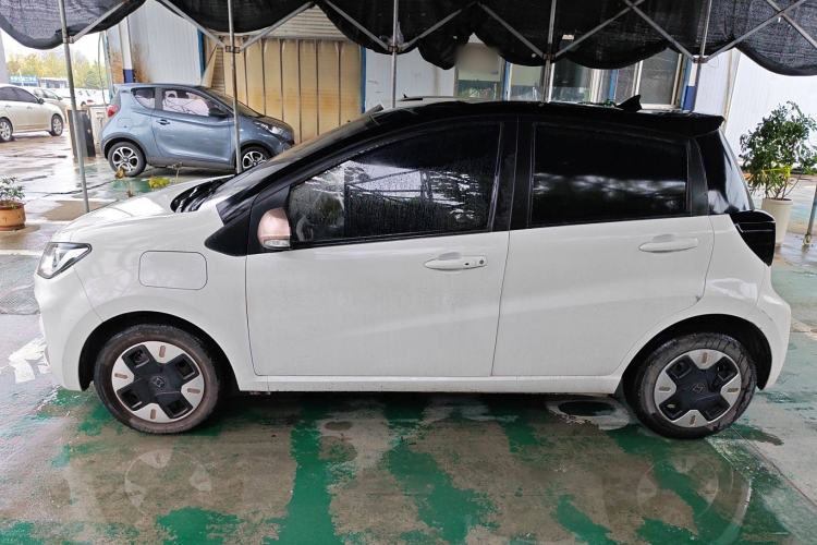 Used SOL E10X 2022 Flower Fairy Design Dandelion