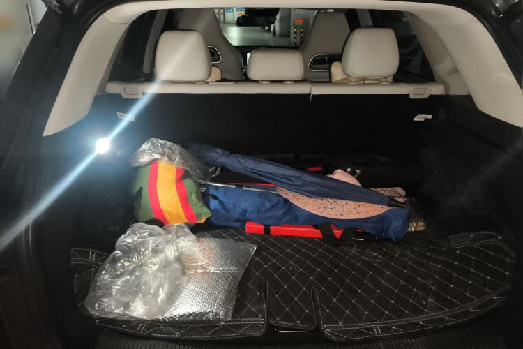 Used MG Pilot 2021 400TGI Automatic Two-Wheel Drive Trophy Flagship Edition
