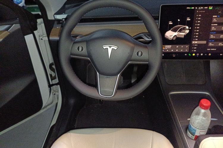 Used Tesla Model Y 2021 Standard Range Rear-Wheel Drive Version
