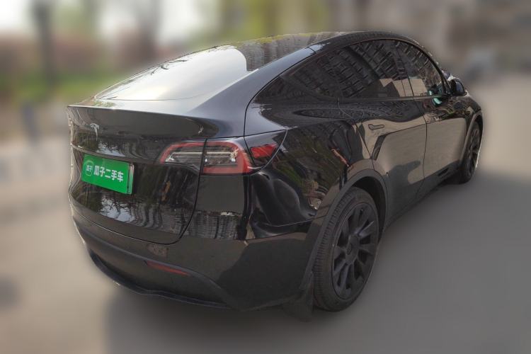 Used Tesla Model Y 2021 Standard Range Rear-Wheel Drive Version
