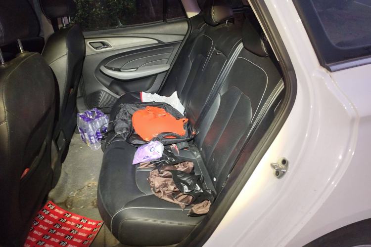 Used Roewe Ei5 2019 Comfort Edition Left Rear Seat