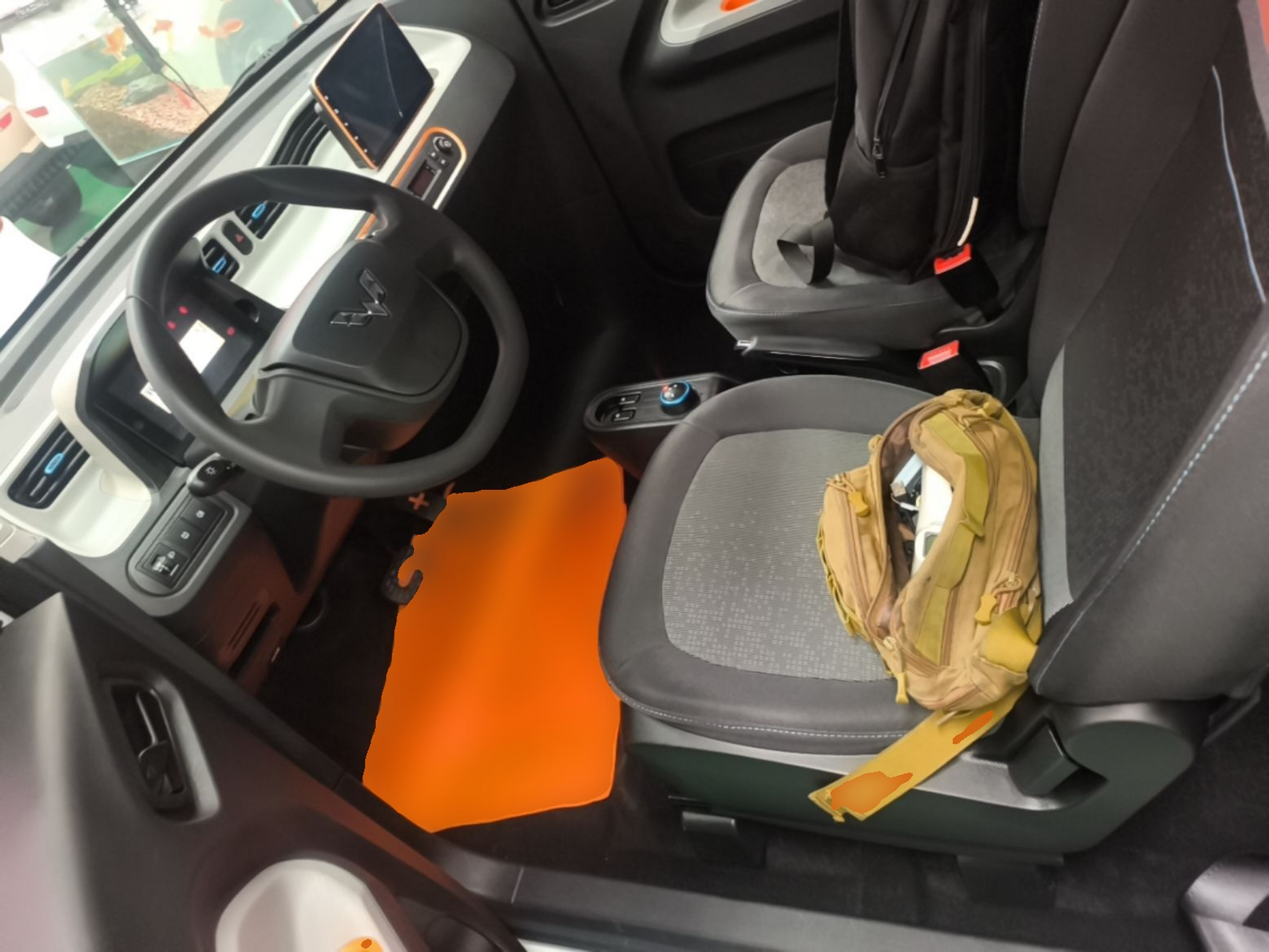Interior delantero