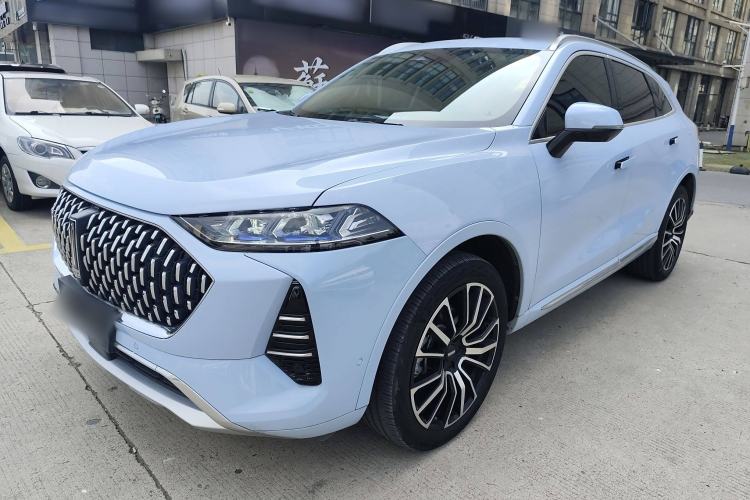 Used Wey Mocha 2021 2.0T Four-Wheel Drive Premium Edition