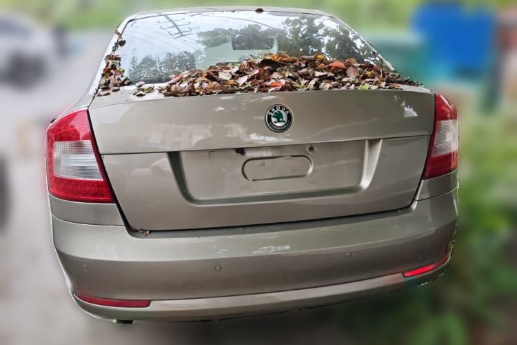 Used Skoda Octavia 2012 1.6L Automatic Yijun Edition Rear