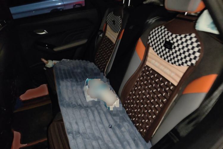 Used Haval LHERY 2021 GT Edition 1.5T Platinum Rabbit Left Rear Seat