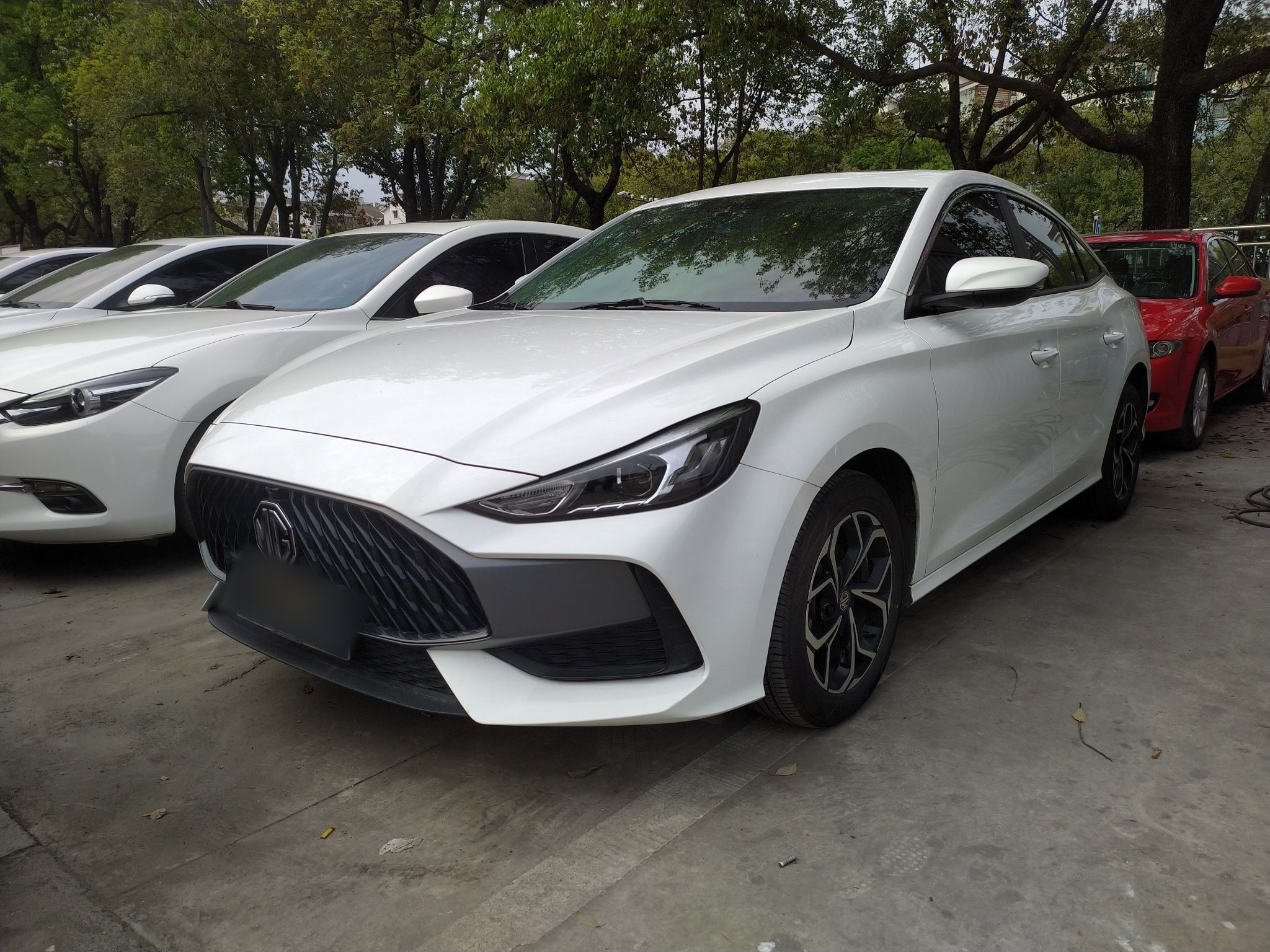 Parte inferior delantera