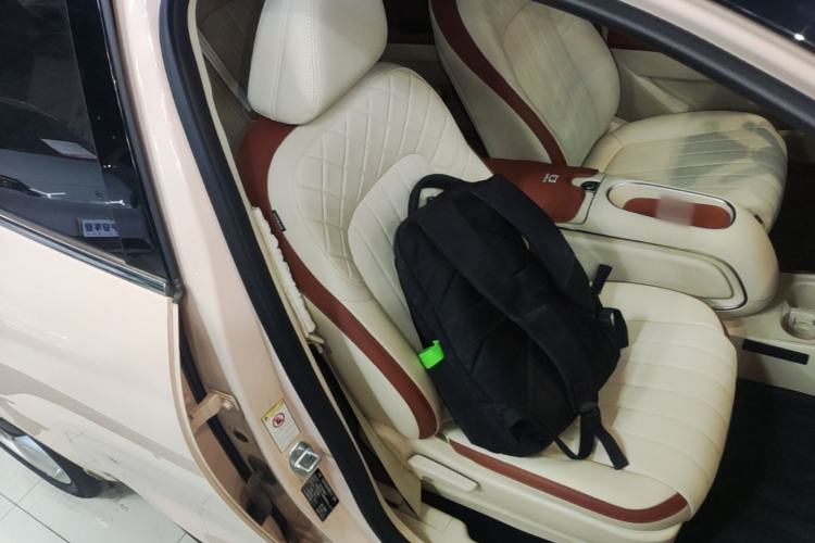 Used ORA Good Cat 2023 401 km Standard Range Luxury Version Lithium Iron Phosphate