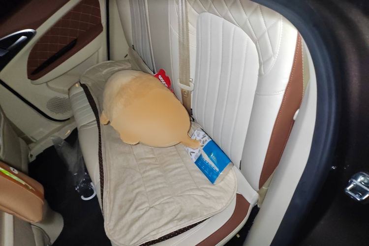 Used ORA Good Cat 2021 400km Standard Range Venus Edition Lithium Iron Phosphate Left Rear Seat