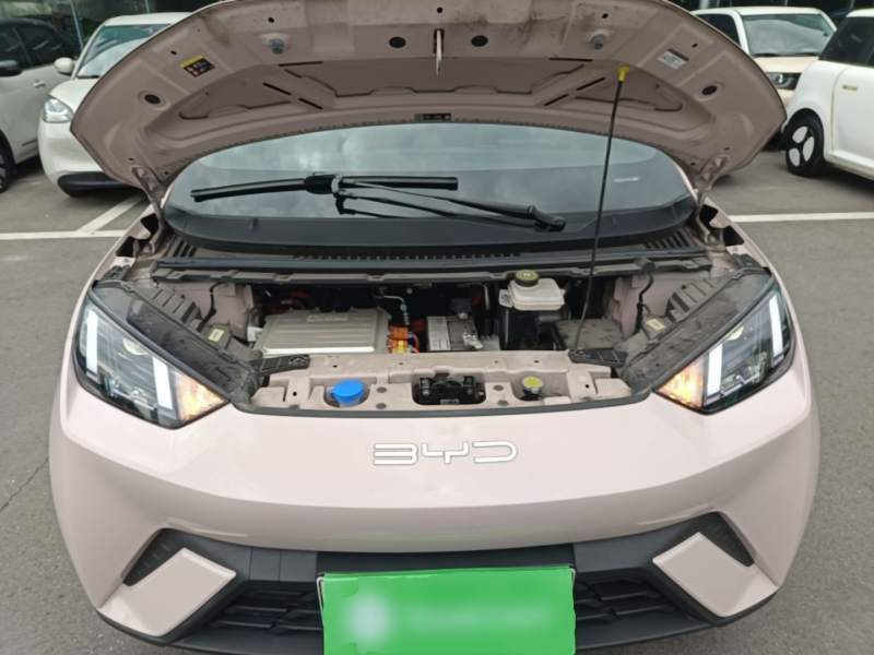 Used BYD Seagull 2023 Free Edition — 19