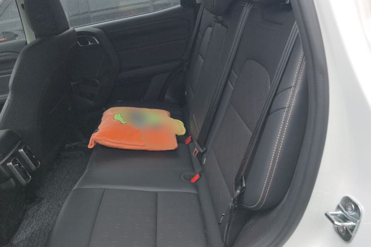 Used Haval DARGO 2024 2.0T DCT Chinese Rural Dog Edition Left Rear Seat