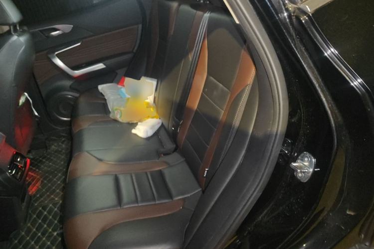 Used Wey VV5 2021 1.5T Two-Wheel Drive Color Pioneer
