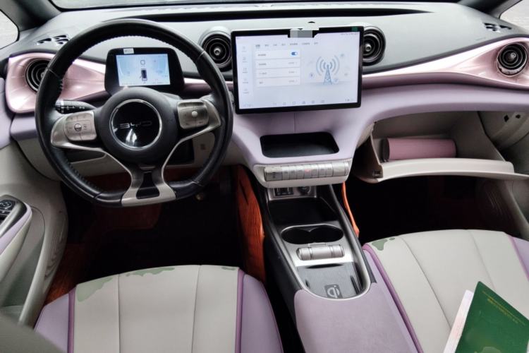 Used BYD Dolphin 2021 401km Knight Edition