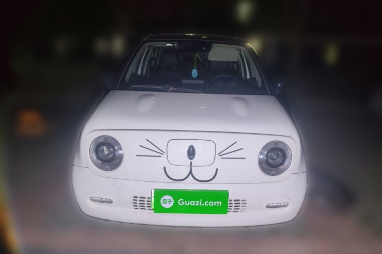 Used ORA Black Cat 2021 351 km Luxury Version