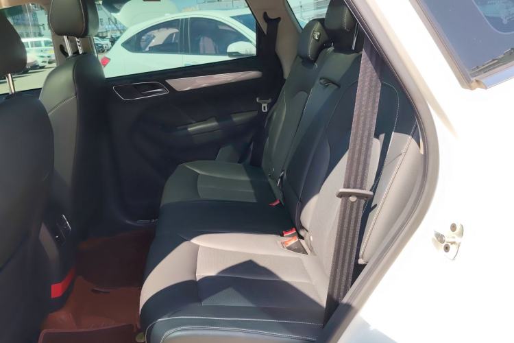 Used Roewe RX5 2020 20T Automatic 4G Connect Superior Flagship Edition Left Rear Seat