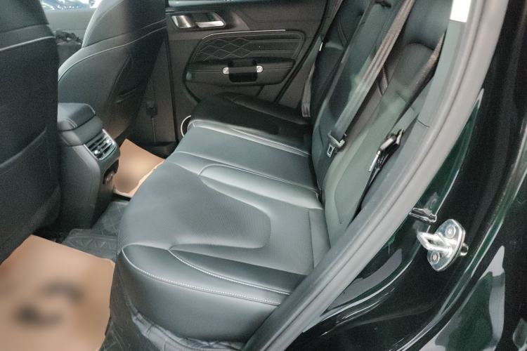 Used Tank 300 New Energy 2025 Hi4-T Left Rear Seat