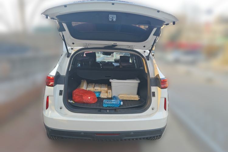 Used Haval H6 2021 3rd Generation 2.0T Automatic Two-Wheel Drive Max
