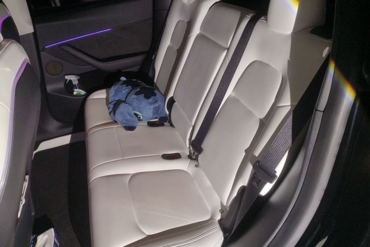 Used Tesla Model Y 2021 Standard Range Rear-Wheel Drive Version
