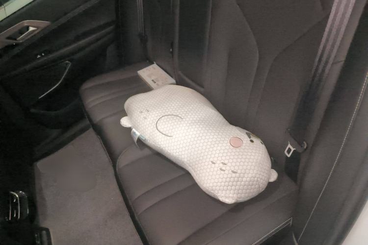 Used XPeng P5 2021 550E Left Rear Seat